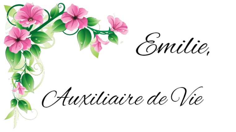 Emilie, Auxiliaire de Vie